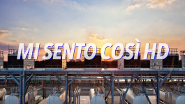 U+29DC: Index of/ Enrico Boccioletti