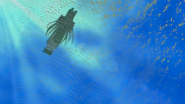 U+29DC: Index of/ Enrico Boccioletti