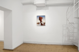 U+29DC: Index of/ Enrico Boccioletti