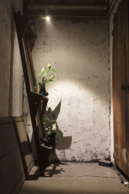 U+29DC: Index of/ Enrico Boccioletti