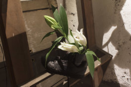 U+29DC: Index of/ Enrico Boccioletti