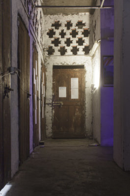 U+29DC: Index of/ Enrico Boccioletti