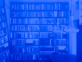 Enrico Boccioletti, Loveless Polly, 2018